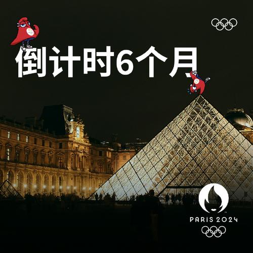 法国宣布取消2024奥运会