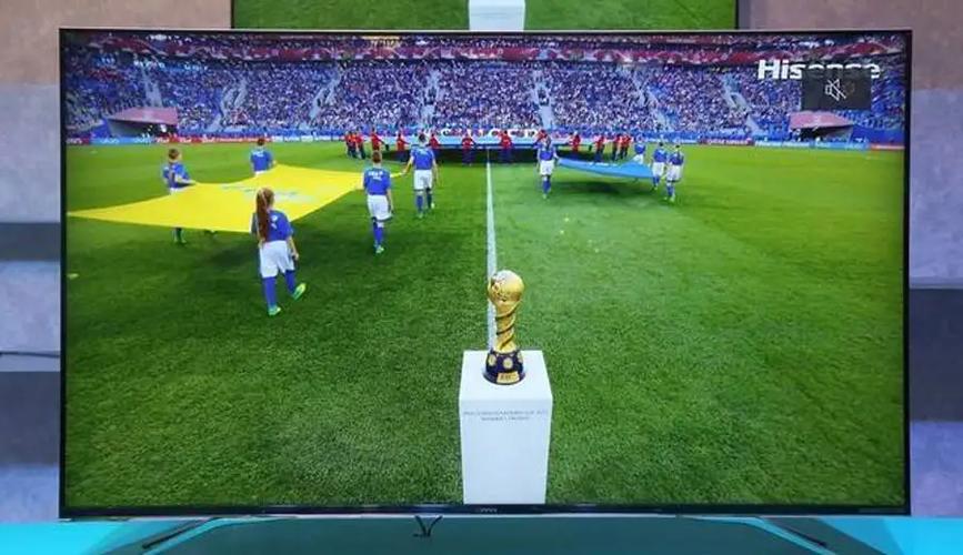 2022世界杯视频直播