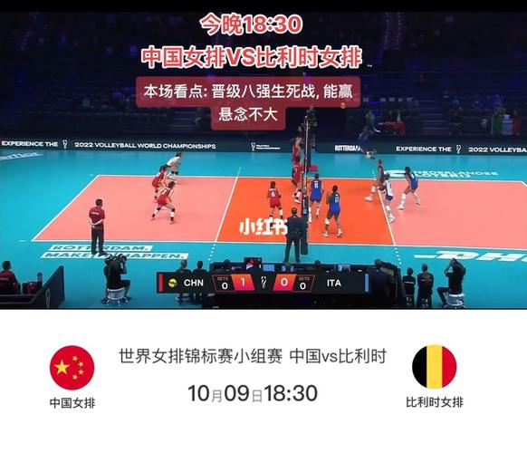 中国女排vs比利时直播的相关图片